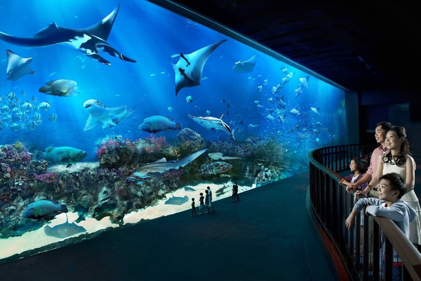 Oceanarium